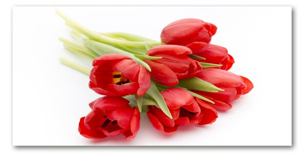 Foto obraz skleněný horizontální Červené tulipány osh-99817079