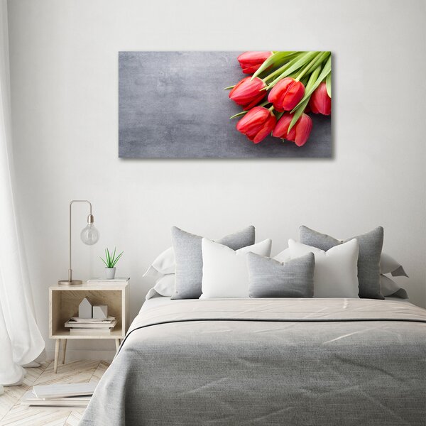 Foto obraz na plátně Červené tulipány oc-99719823