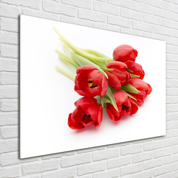Foto obraz skleněný horizontální Červené tulipány osh-99817079