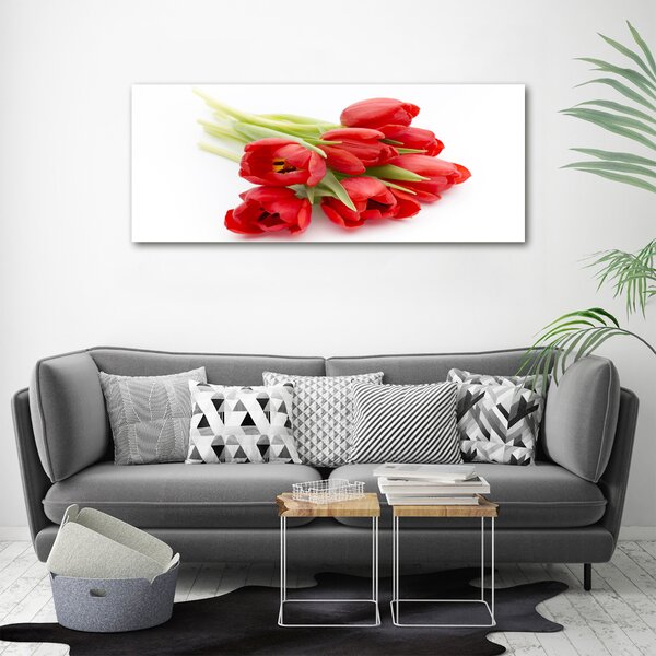 Foto obraz na plátně Červené tulipány oc-99817079
