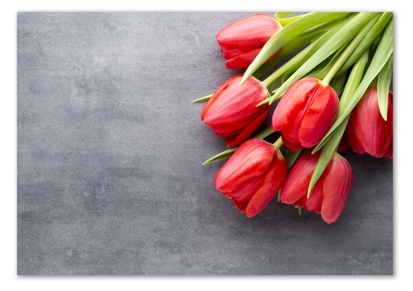 Foto obraz fotografie na skle Červené tulipány osh-99719823