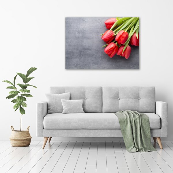 Foto obraz na plátně Červené tulipány oc-99719823