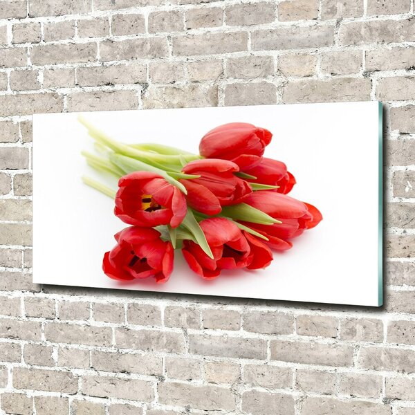 Foto obraz skleněný horizontální Červené tulipány osh-99817079