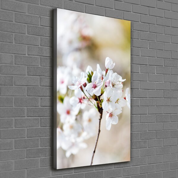 Vertikální Foto obraz canvas Květy višně ocv-100965392