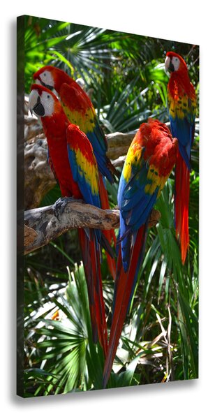 Vertikální Vertikální Foto obraz na plátně do obýváku Papoušci Ara ocv-100820443