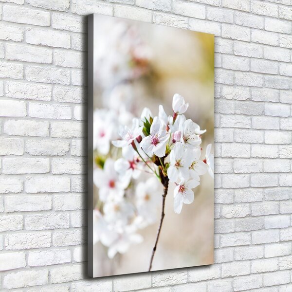 Vertikální Foto obraz canvas Květy višně ocv-100965392