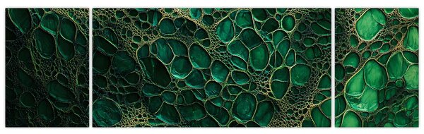 Obraz - Zelený mikroskopický snímek (170x50 cm)