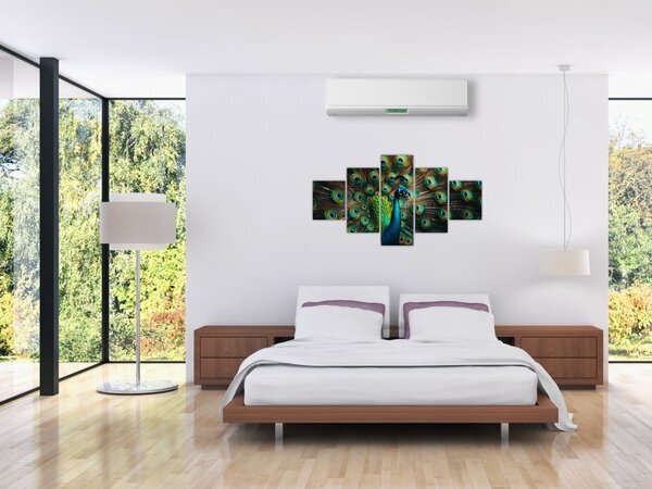 Obraz - Páv (125x70 cm)