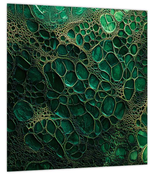 Obraz - Zelený mikroskopický snímek (30x30 cm)