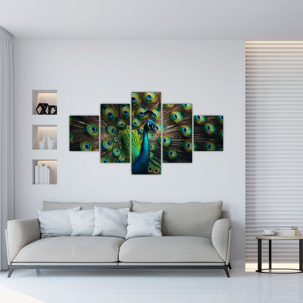 Obraz - Páv (125x70 cm)