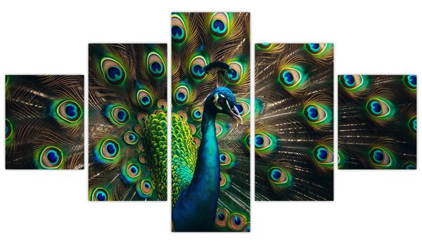 Obraz - Páv (125x70 cm)