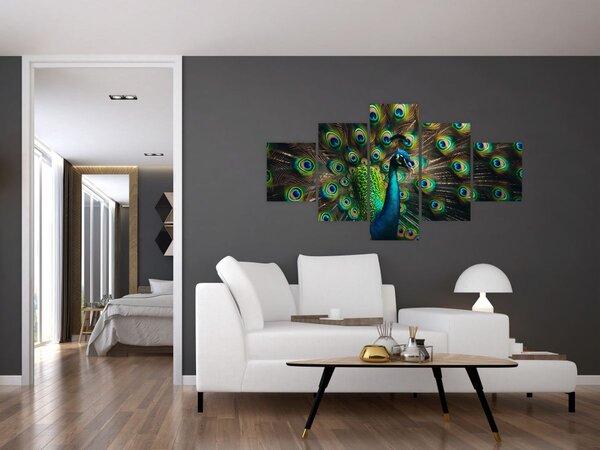 Obraz - Páv (125x70 cm)