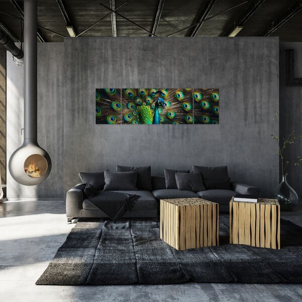 Obraz - Páv (170x50 cm)