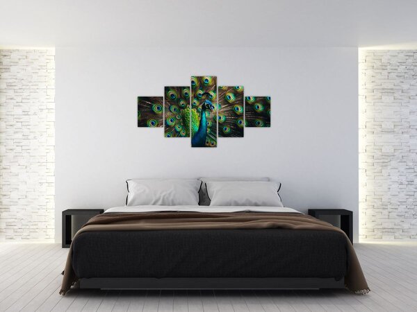 Obraz - Páv (125x70 cm)