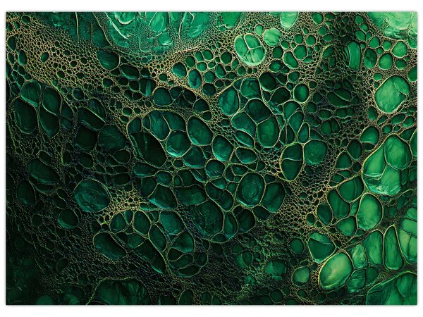 Obraz - Zelený mikroskopický snímek (70x50 cm)