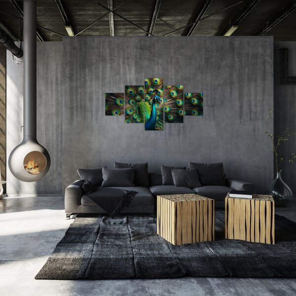 Obraz - Páv (125x70 cm)