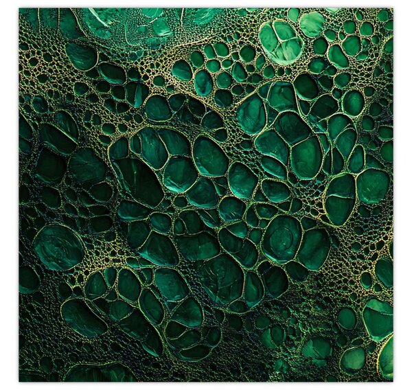 Obraz - Zelený mikroskopický snímek (30x30 cm)