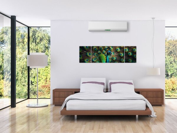 Obraz - Páv (170x50 cm)