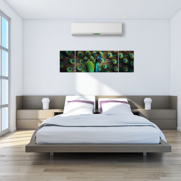 Obraz - Páv (170x50 cm)