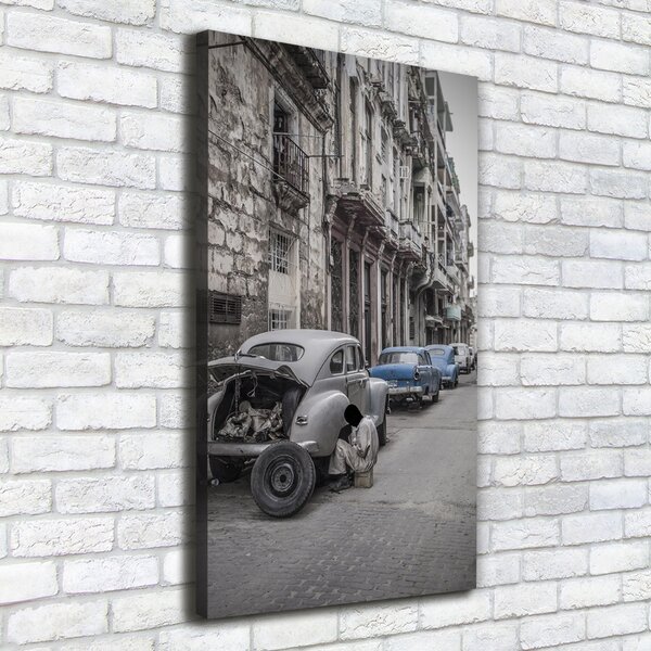 Vertikální Moderní fotoobraz canvas na rámu Havana ocv-101247780