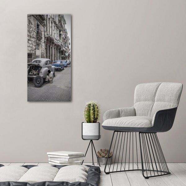 Vertikální Moderní fotoobraz canvas na rámu Havana ocv-101247780
