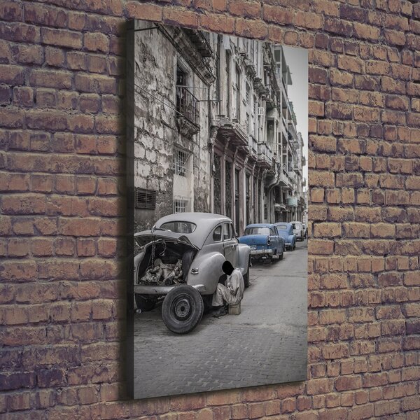 Vertikální Moderní fotoobraz canvas na rámu Havana ocv-101247780