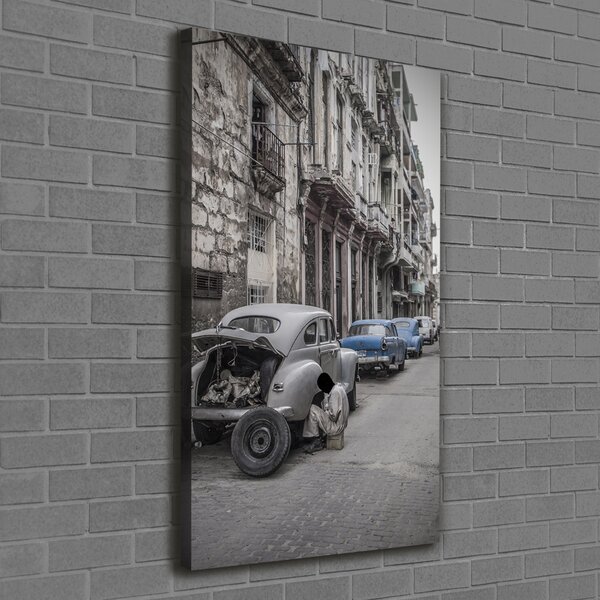 Vertikální Moderní fotoobraz canvas na rámu Havana ocv-101247780
