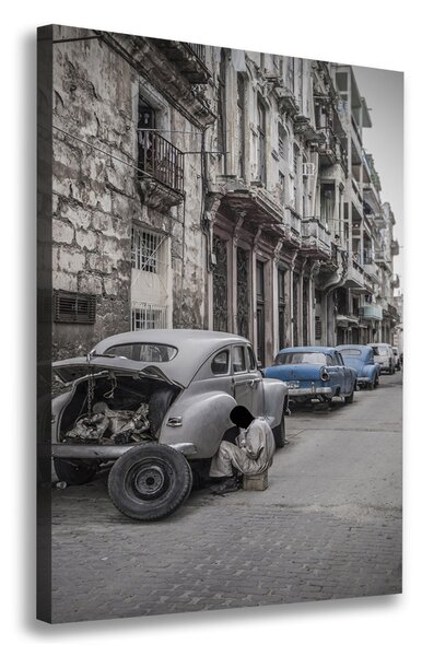 Vertikální Moderní fotoobraz canvas na rámu Havana ocv-101247780