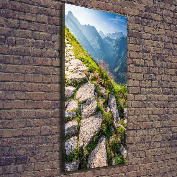 Vertikální Foto obraz canvas Horská stezka ocv-101364887
