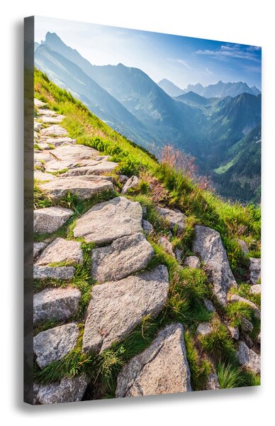 Vertikální Foto obraz canvas Horská stezka ocv-101364887