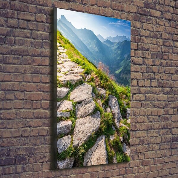 Vertikální Foto obraz canvas Horská stezka ocv-101364887