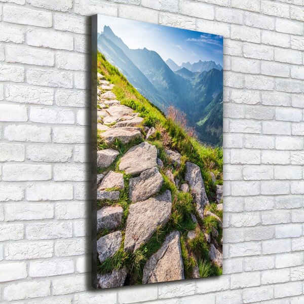 Vertikální Foto obraz canvas Horská stezka ocv-101364887