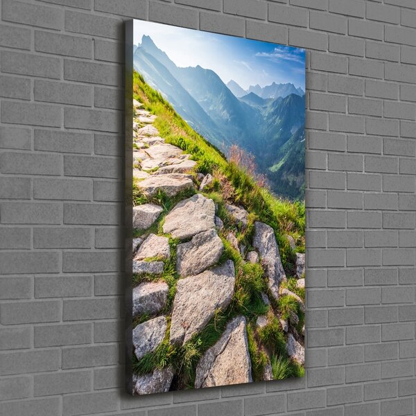 Vertikální Foto obraz canvas Horská stezka ocv-101364887