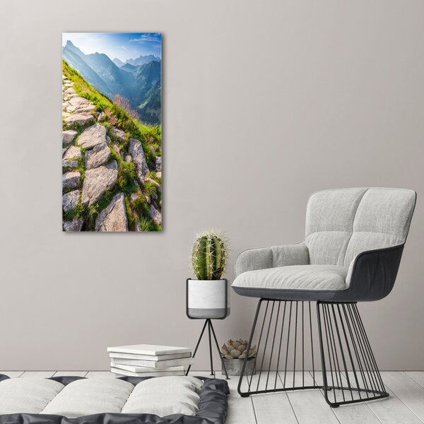 Vertikální Foto obraz canvas Horská stezka ocv-101364887