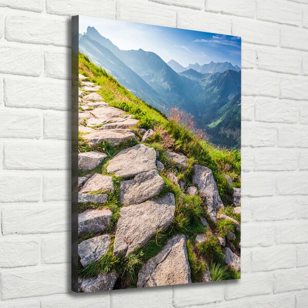 Vertikální Foto obraz canvas Horská stezka ocv-101364887