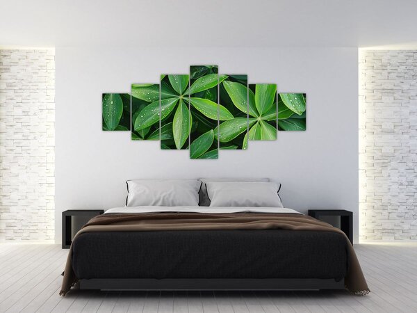 Obraz - Listy s kapkami rosy (210x100 cm)