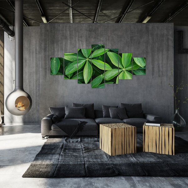 Obraz - Listy s kapkami rosy (210x100 cm)