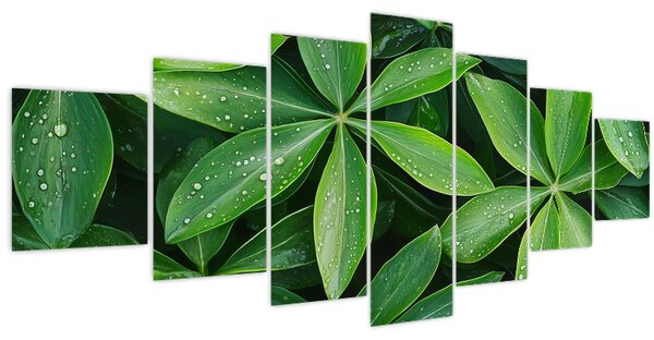 Obraz - Listy s kapkami rosy (210x100 cm)