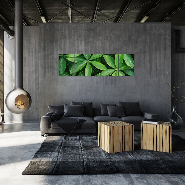 Obraz - Listy s kapkami rosy (170x50 cm)