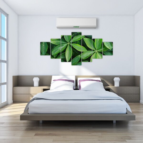 Obraz - Listy s kapkami rosy (210x100 cm)