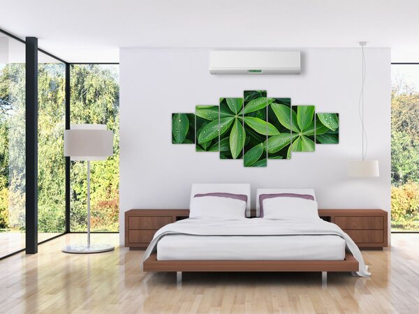 Obraz - Listy s kapkami rosy (210x100 cm)