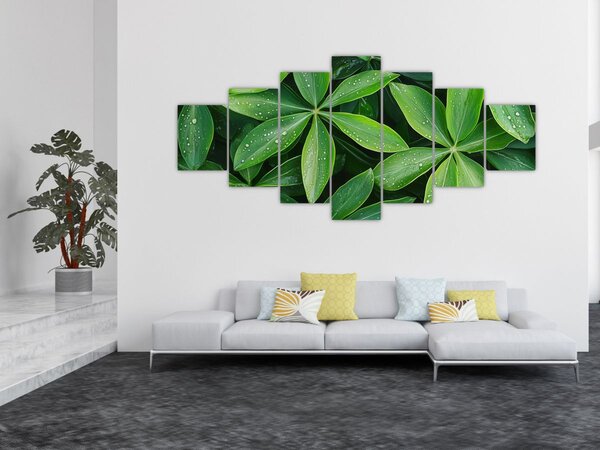 Obraz - Listy s kapkami rosy (210x100 cm)