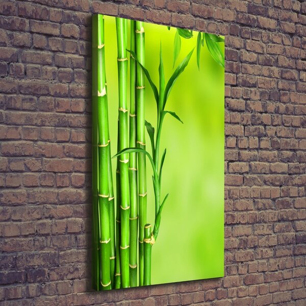 Vertikální Moderní fotoobraz canvas na rámu Bambus ocv-101574587