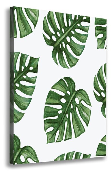 Vertikální Vertikální Foto obraz na plátně do obýváku Monstera ocv-101795652