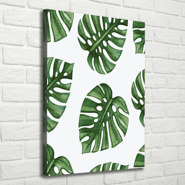 Vertikální Vertikální Foto obraz na plátně do obýváku Monstera ocv-101795652