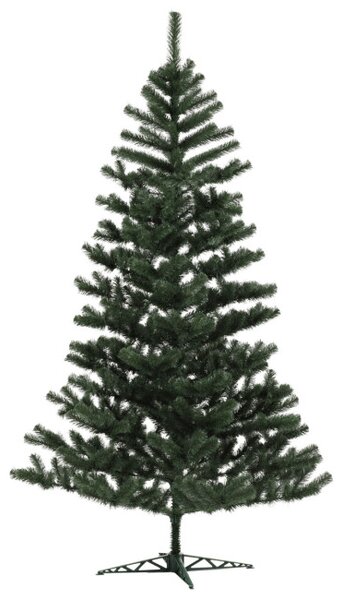 Vánoční stromek jedle 250 cm C0010250