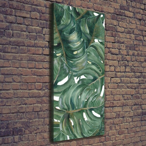 Vertikální Vertikální Foto obraz na plátně do obýváku Monstera ocv-101969533