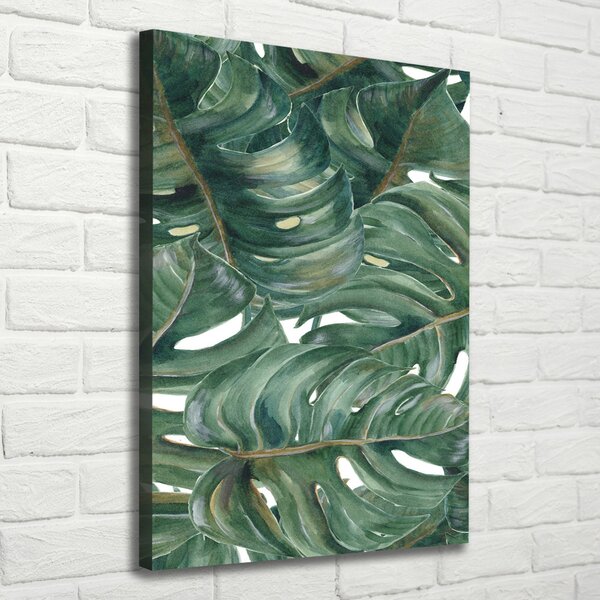 Vertikální Vertikální Foto obraz na plátně do obýváku Monstera ocv-101969533