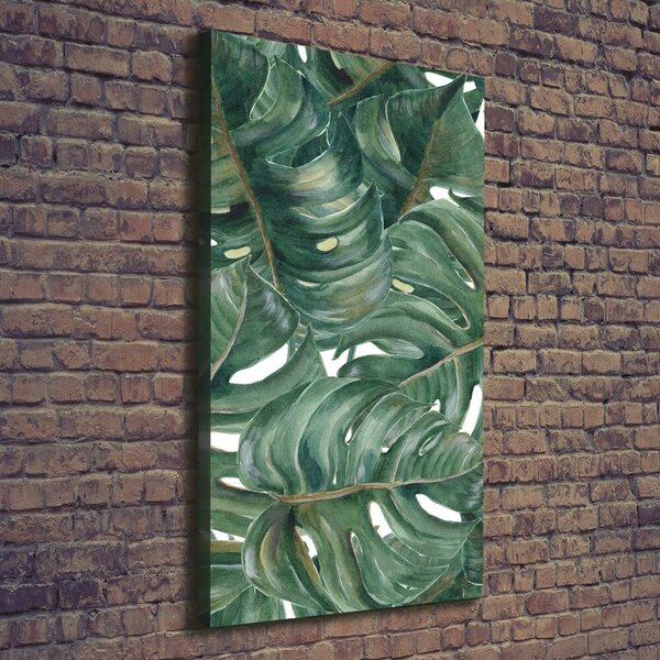 Vertikální Vertikální Foto obraz na plátně do obýváku Monstera ocv-101969533