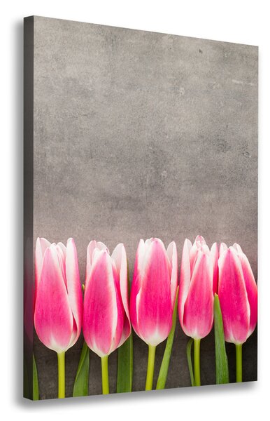 Vertikální Foto obraz na plátně Růžové tulipány ocv-102142486